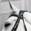 antares-precision-ogłowie-anatomiczne-skórzane-comfort-bridle